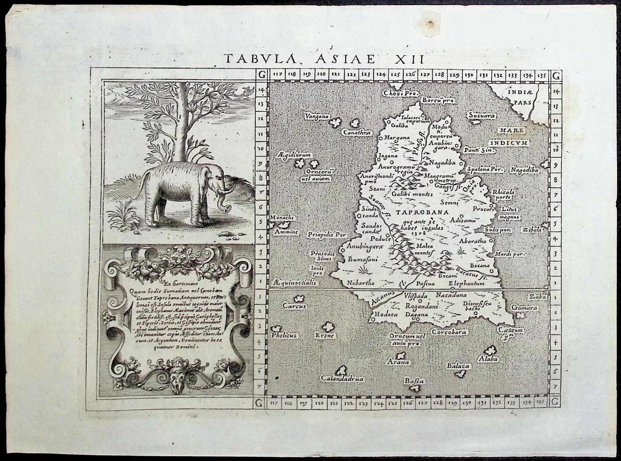 Magini — Taprobana with Elephant c.1597