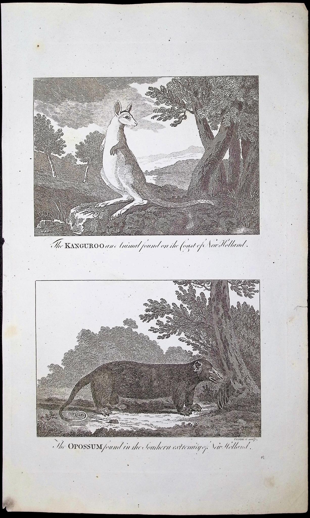 Bankes — Cook's New Holland Pair c.1790 — detail view 3