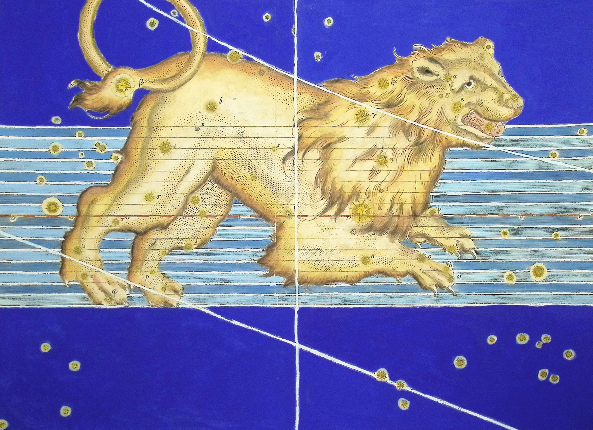 Bayer — Leo Constellation c.1603 — main view