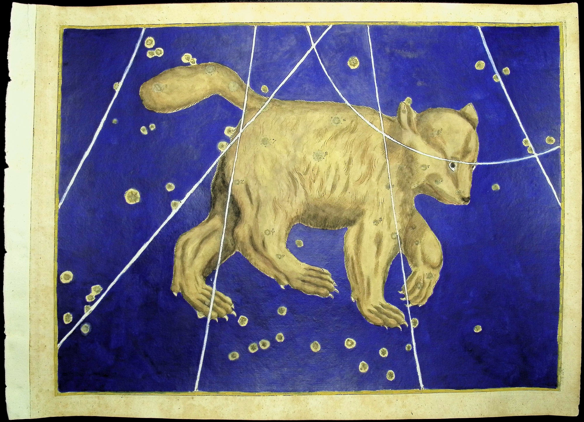Bayer — Ursa Major Constellation c.1603 — detail view 2