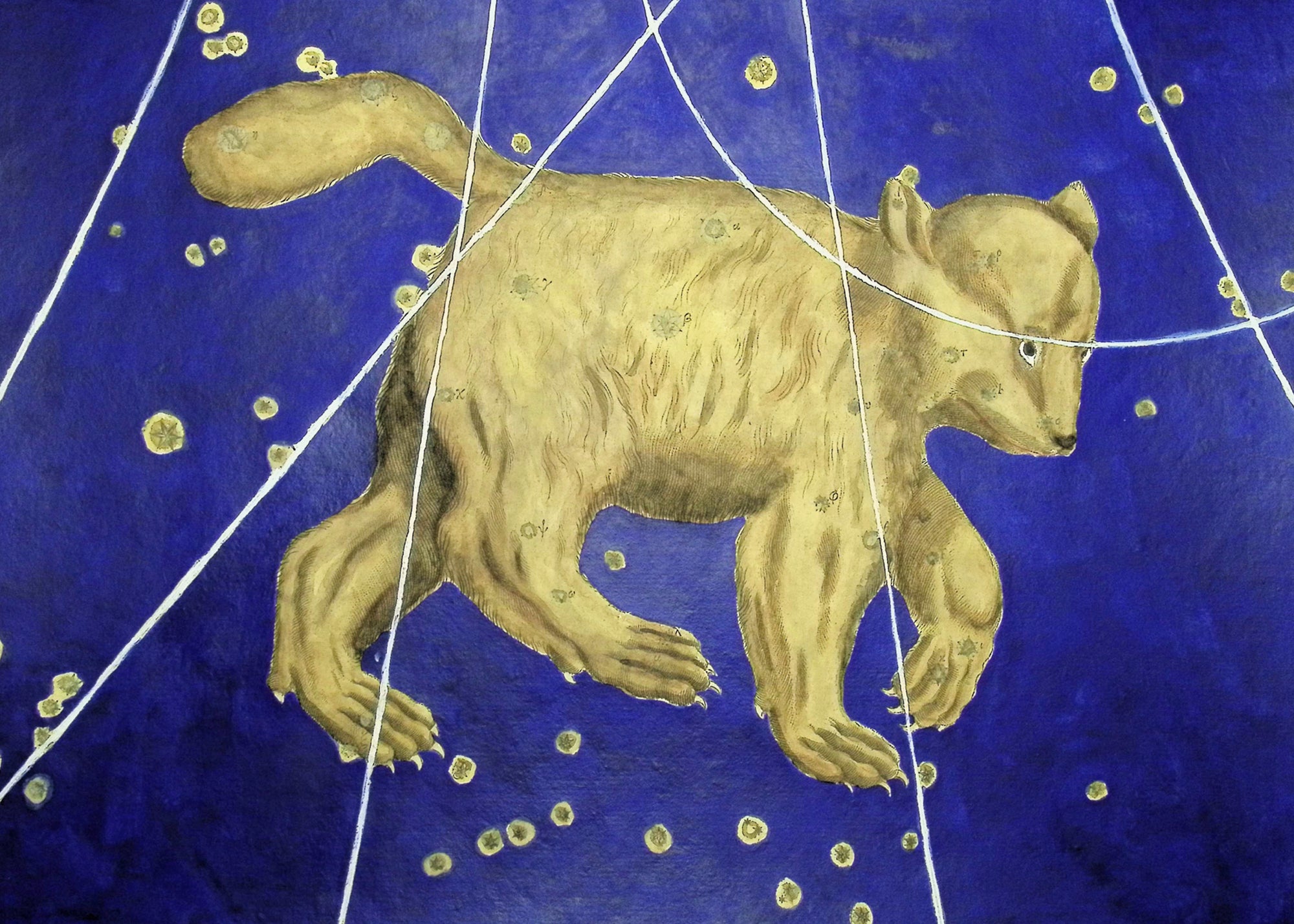 Bayer — Ursa Major Constellation c.1603 — main view